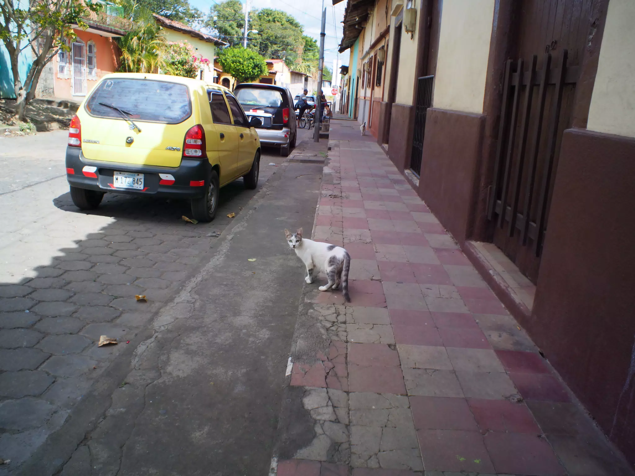 Leon Photowalk