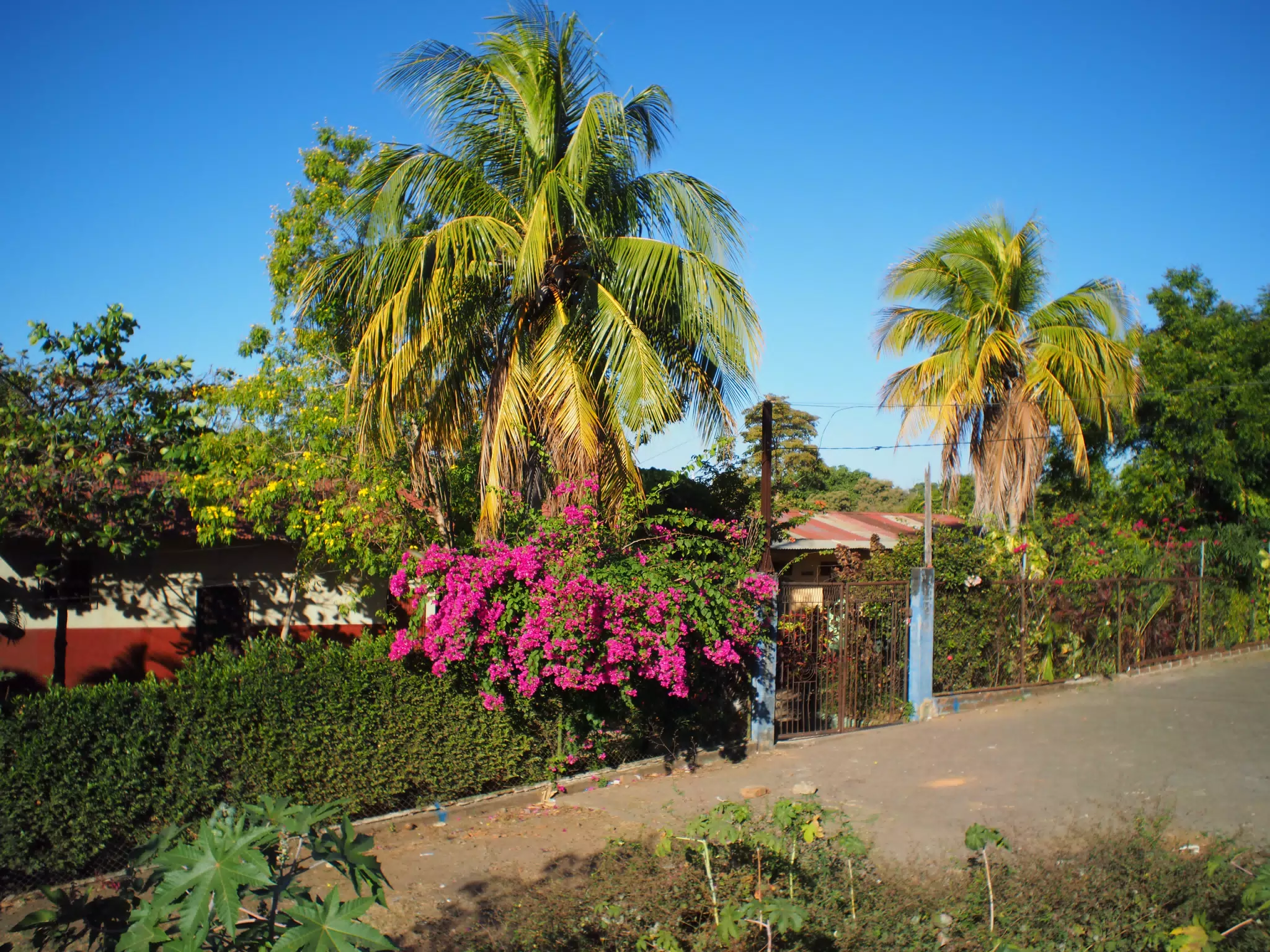 Photowalk Leon Nicaragua