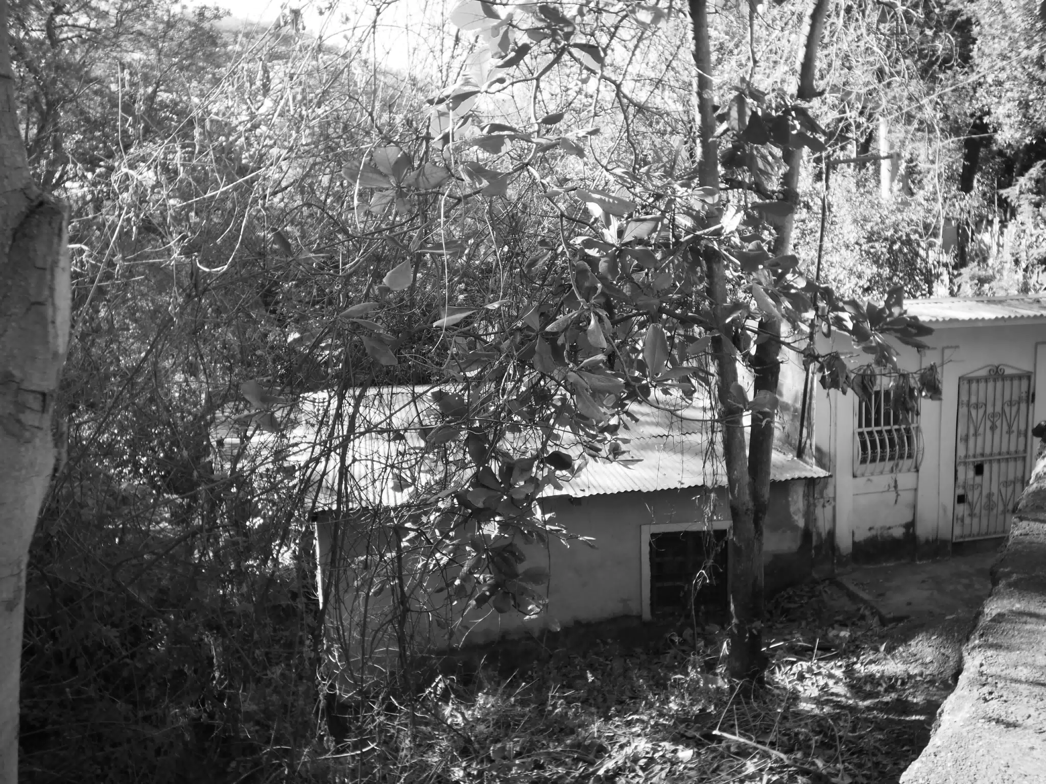 Photowalk Leon Nicaragua
