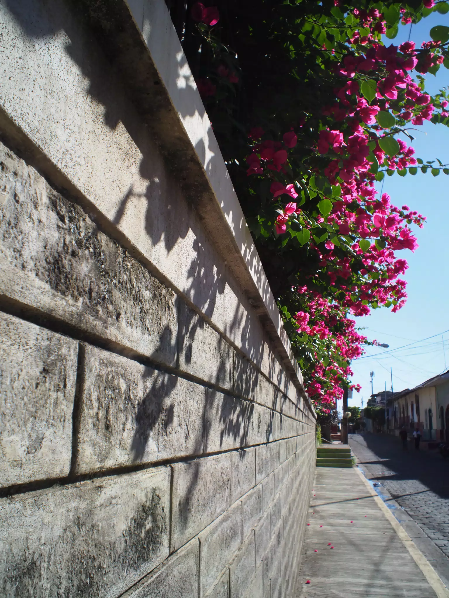 Flower Topped Wall in Leon, Nicaragua