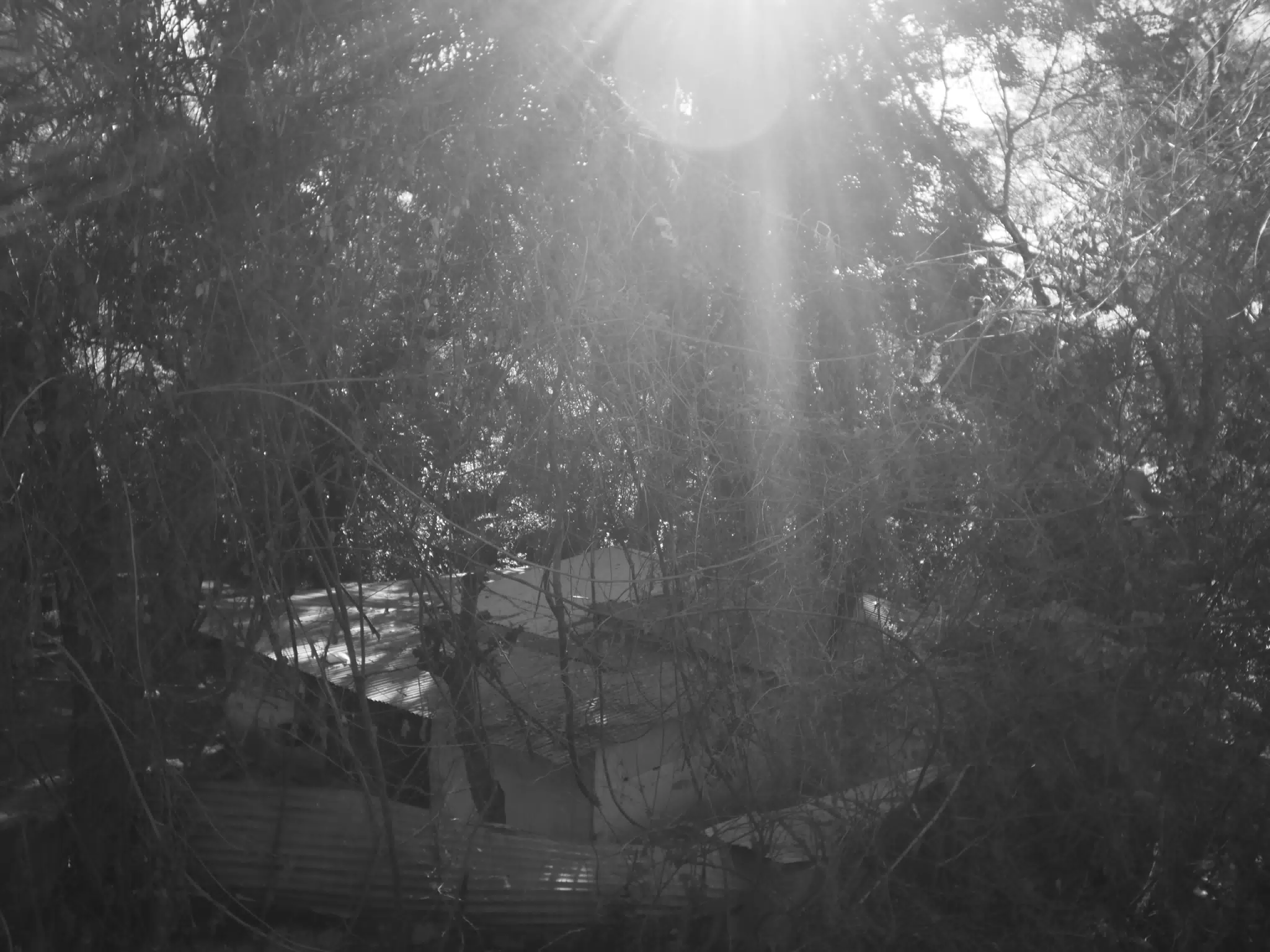 Photowalk Leon Nicaragua