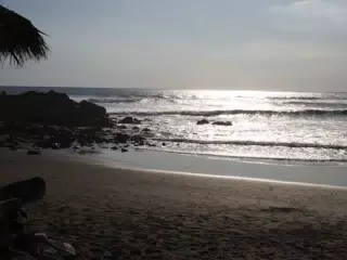 02083344