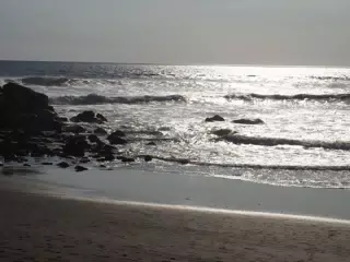 02083343