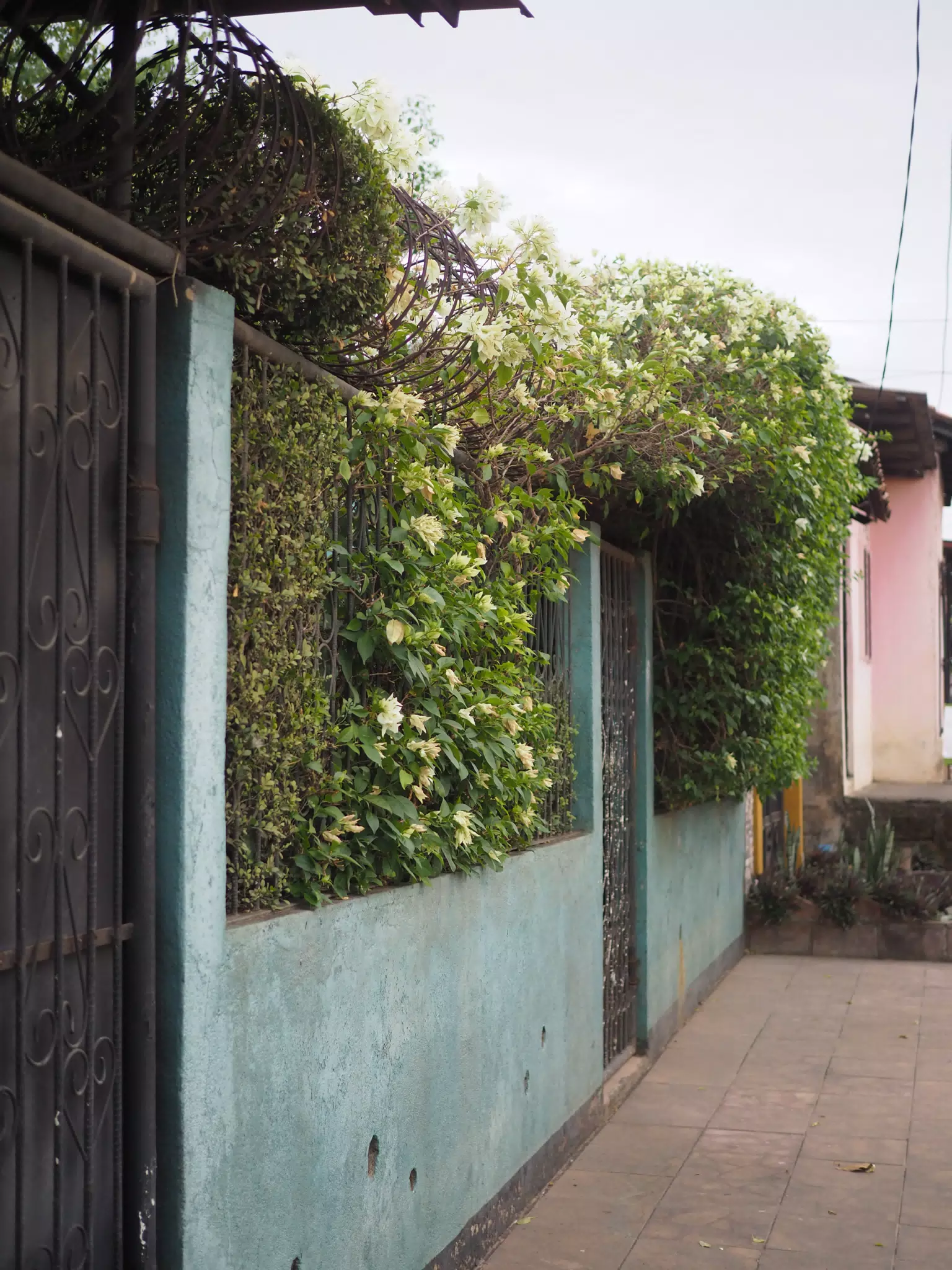Photowalk in Leon Norte
