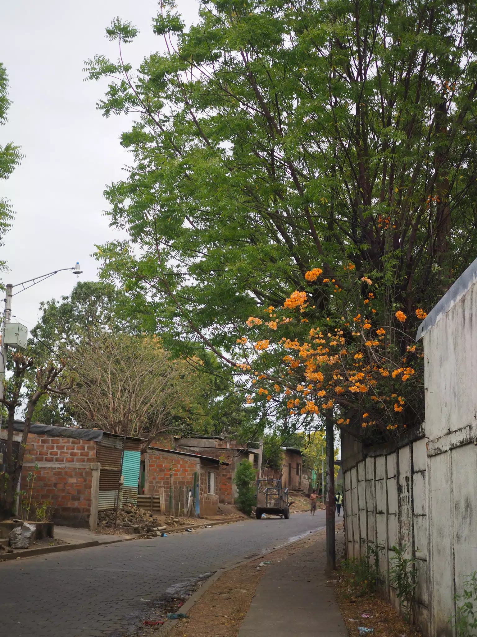 Photowalk in Leon Norte