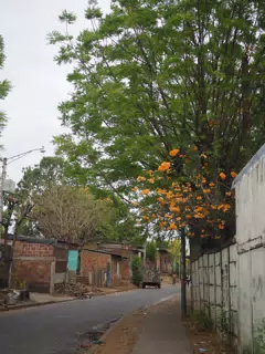 Photowalk in Leon Norte