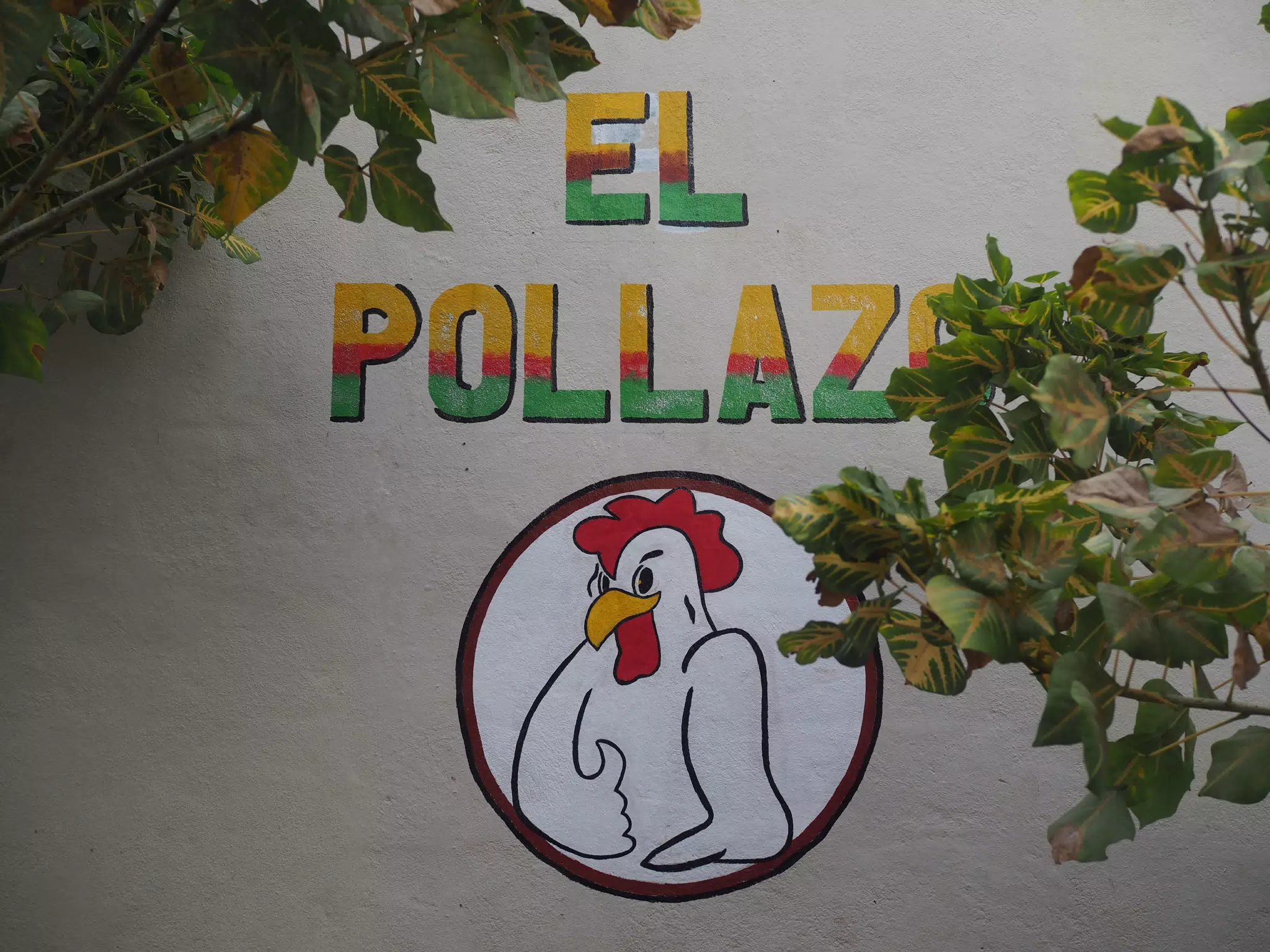 El Pollazo
