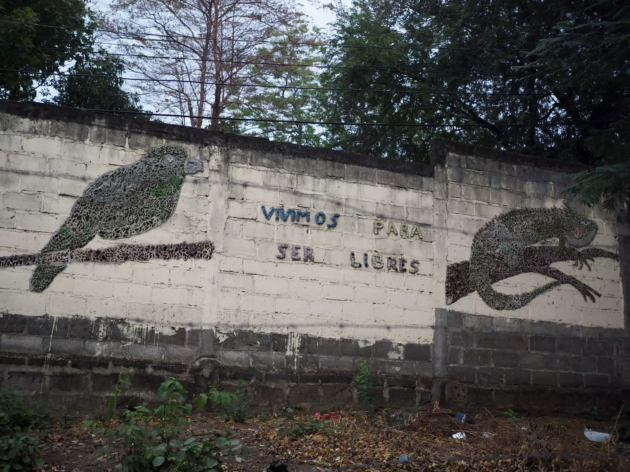 Photowalk in Leon Norte