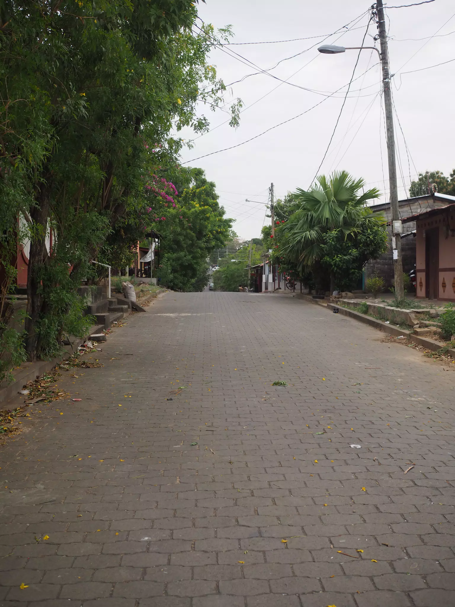 Photowalk in Leon Norte