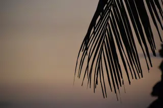 DSC_0603
