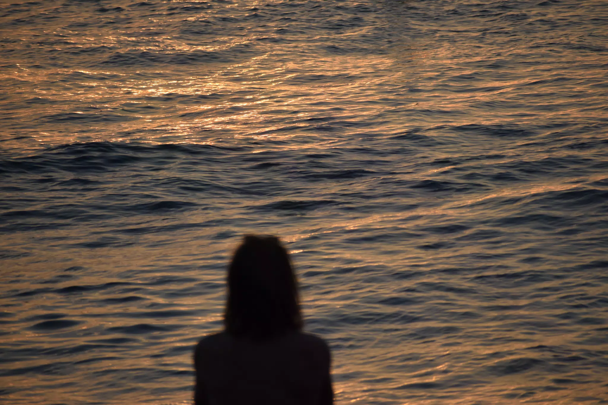 DSC_0486