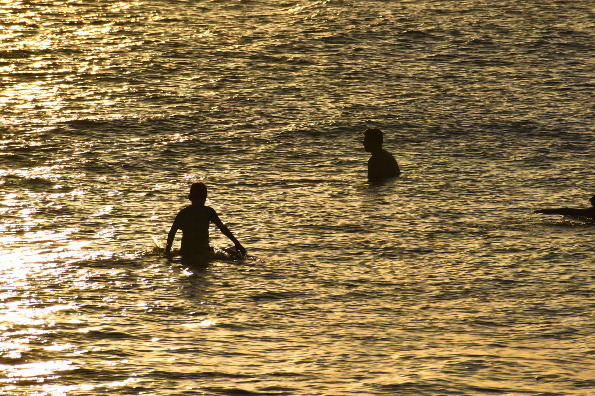 DSC_0396