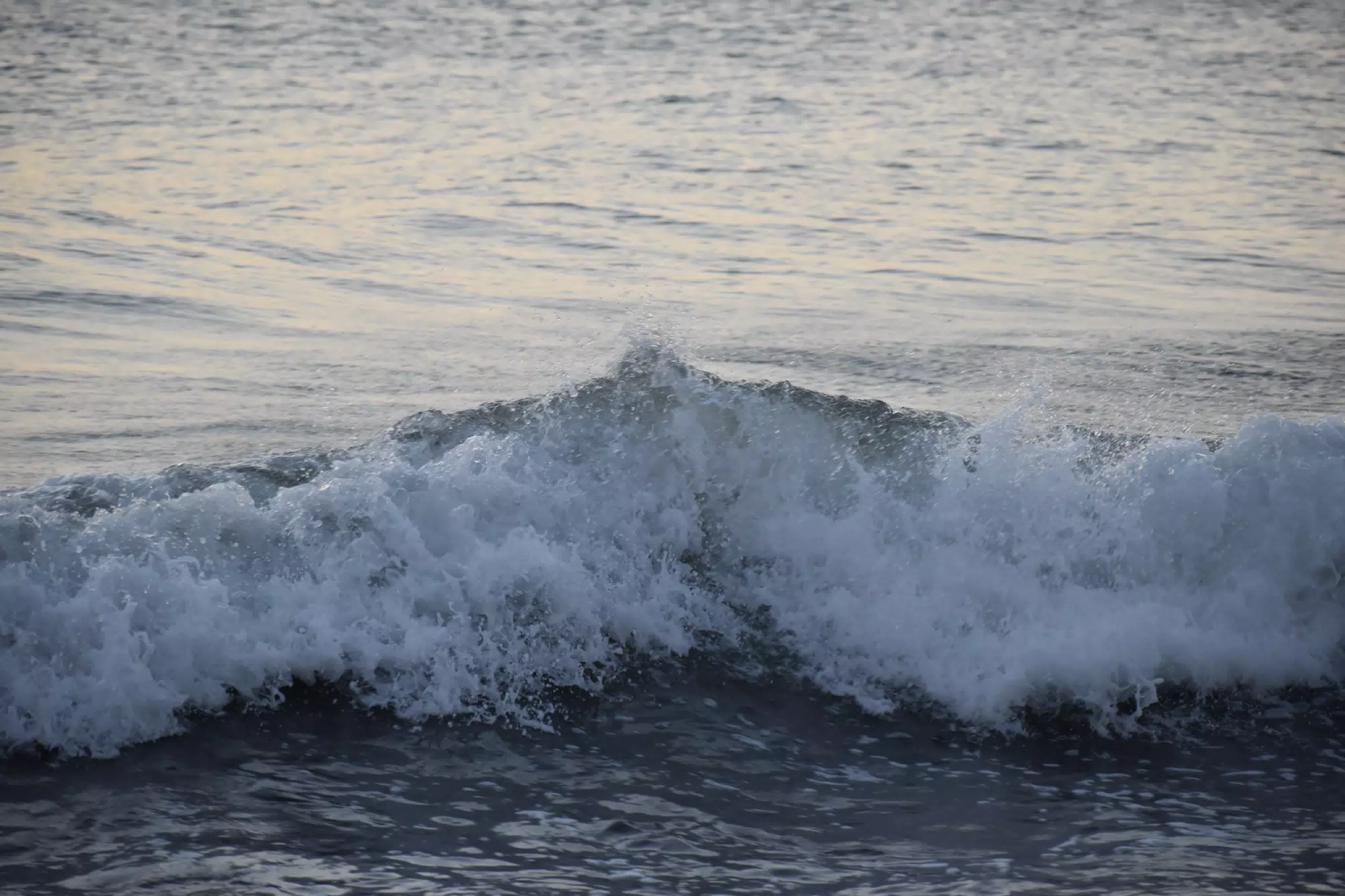 DSC_0567