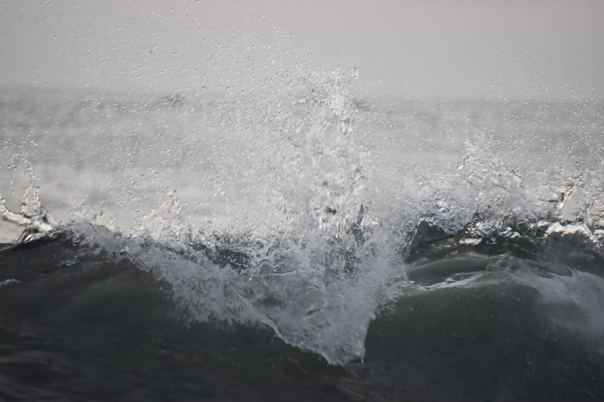 DSC_0559