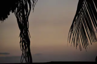 DSC_0606