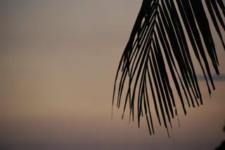 DSC_0604
