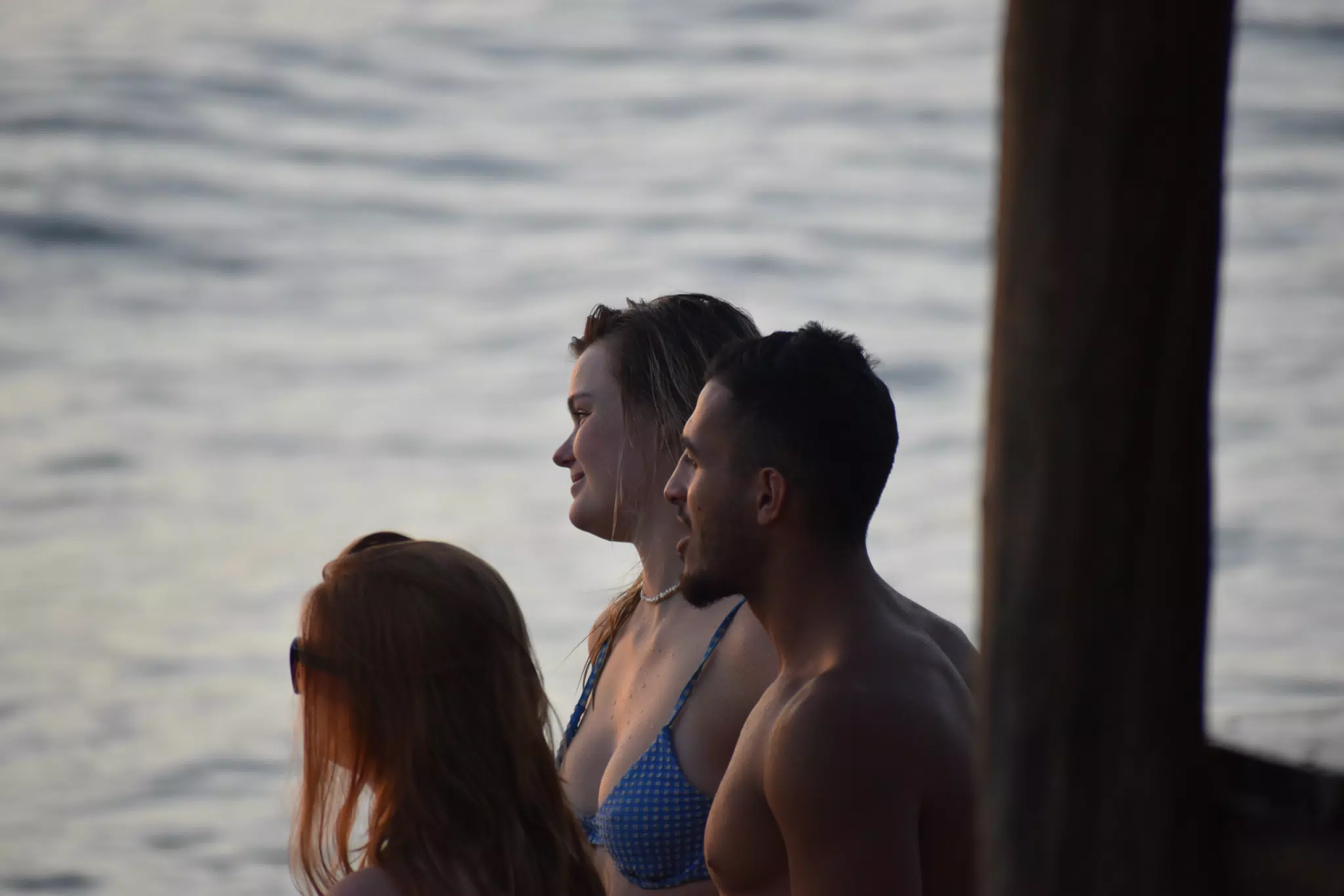 DSC_0483