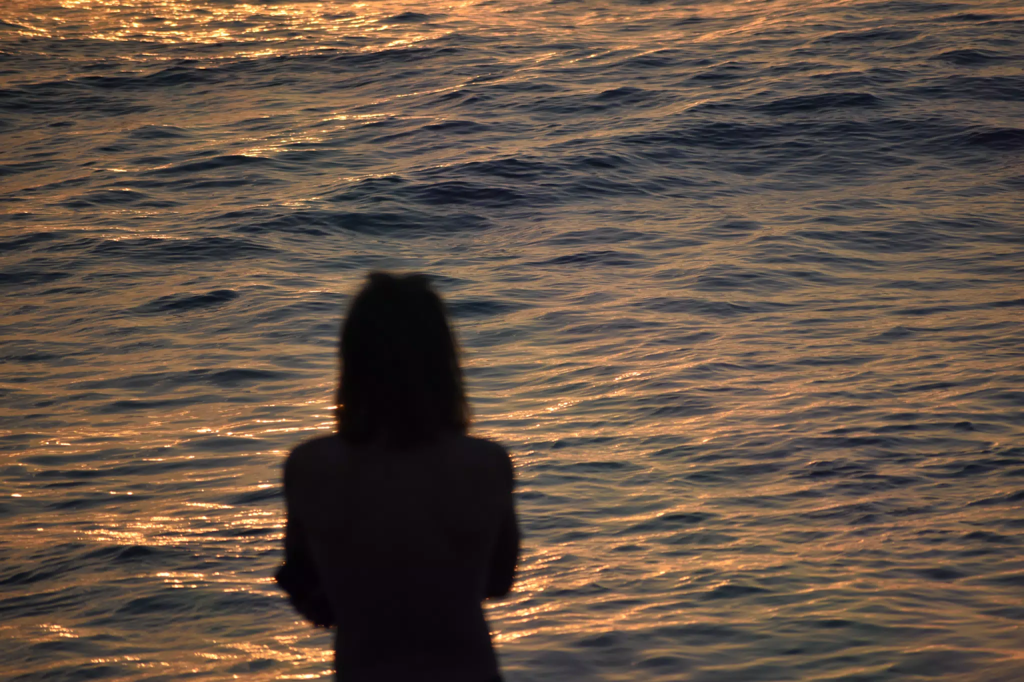 DSC_0485