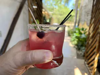 Coco Berry at the Simple Beach Lodge