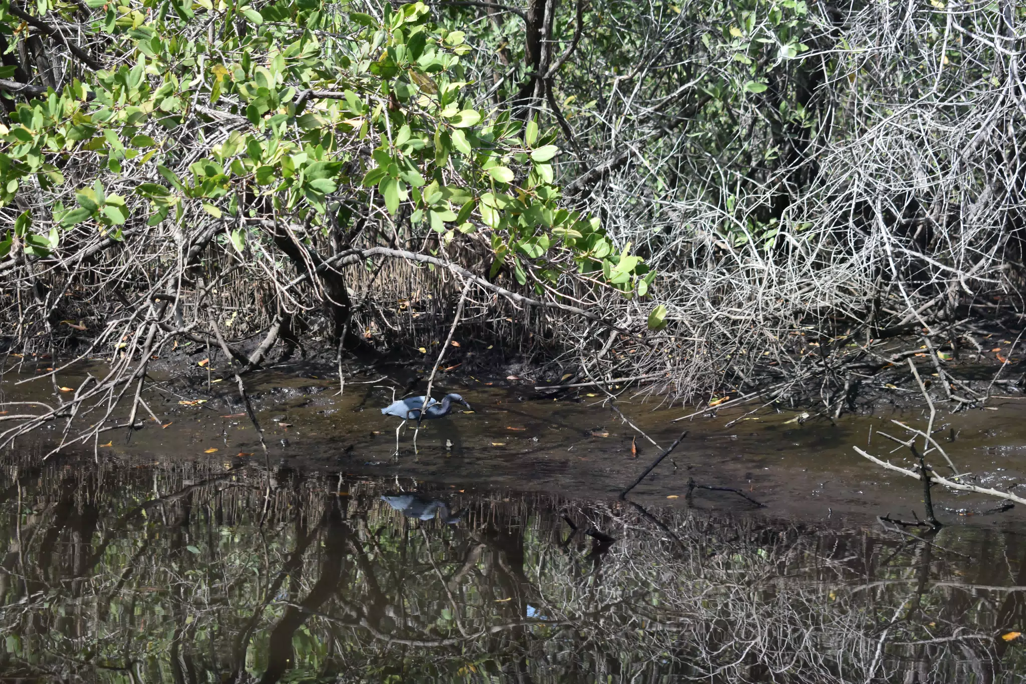 DSC_0669