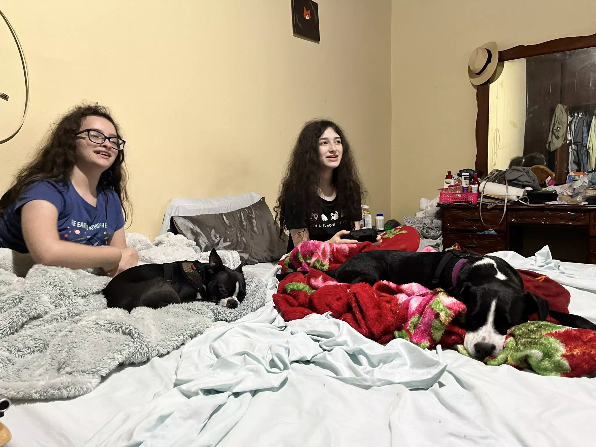 Video Gaming with the Dogs