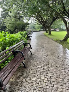 Path in Ciudad Cayala