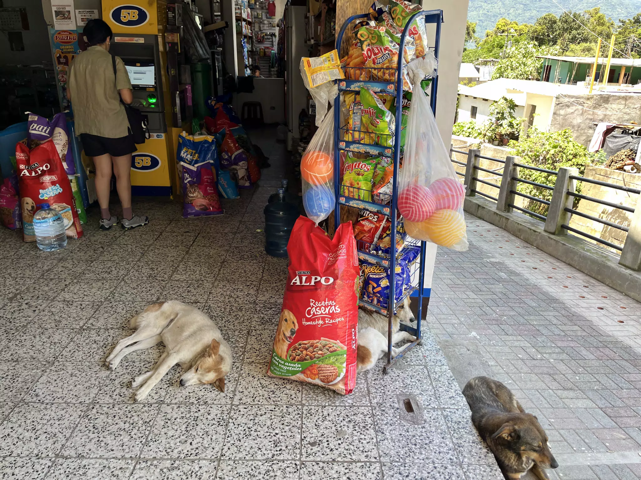 ATM Guard Dogs