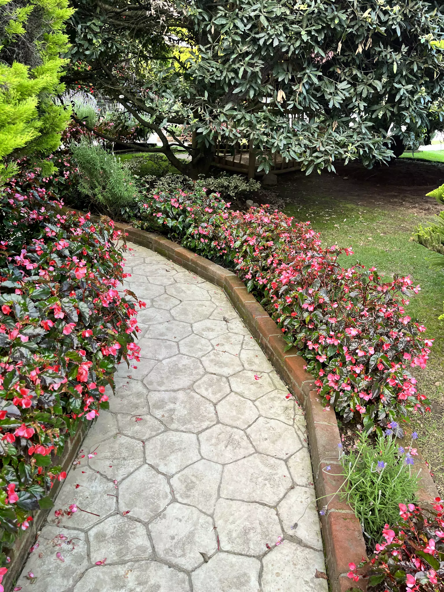 Path at Restaurant in Tecpan Guatemala