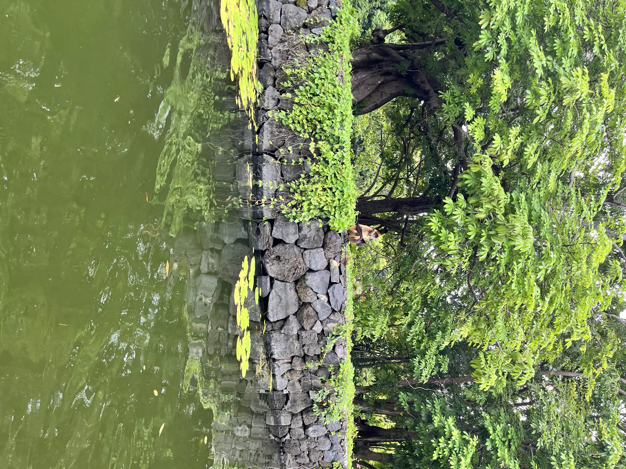 Islands in Lago Nicaragua