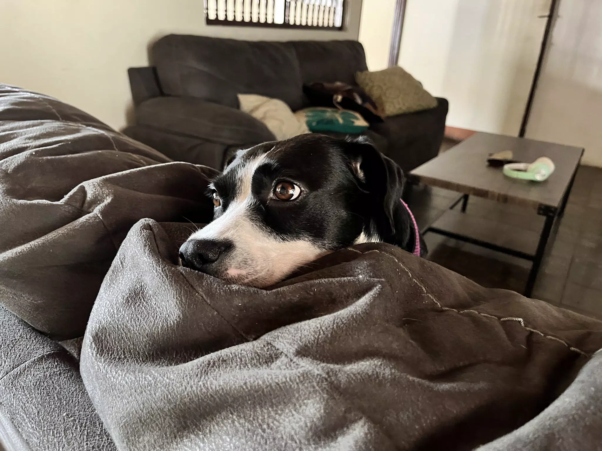 Mia Forlorn on the Couch
