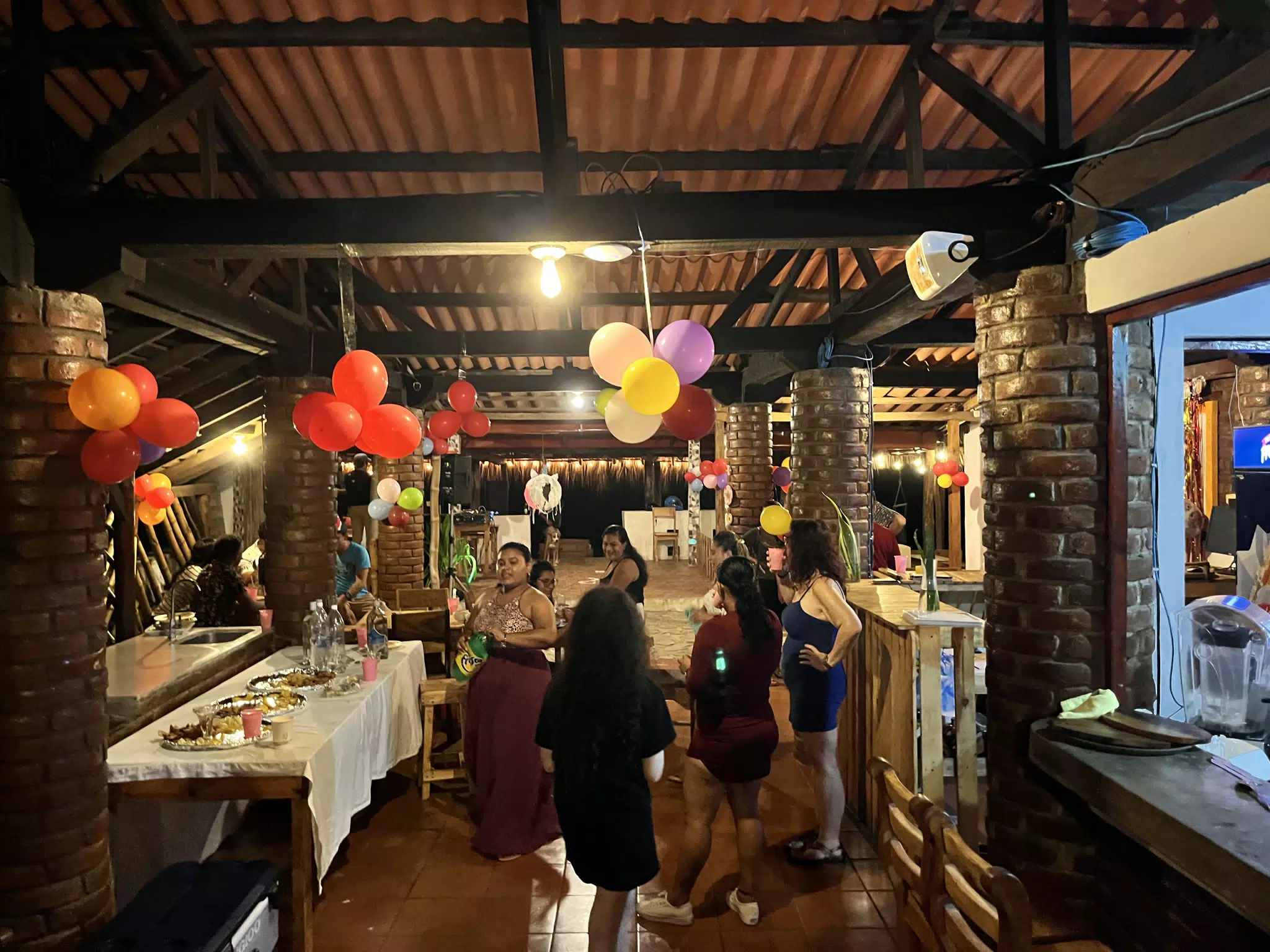 Dominica's Birthday Party