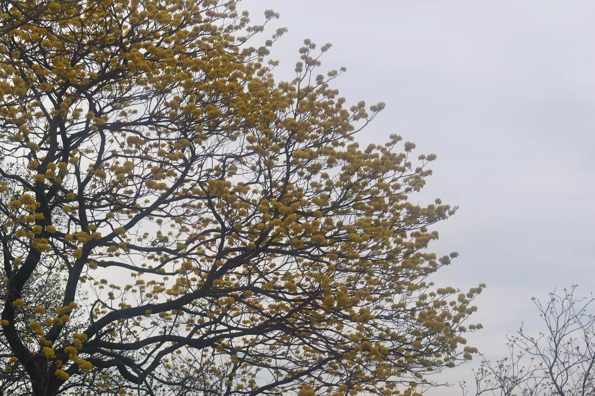 DSC_0338