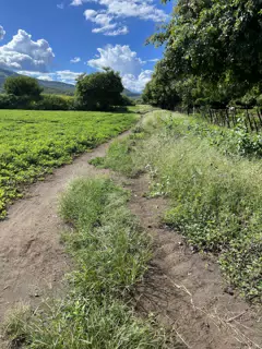 Exploring a Farm Near La Paz Centro