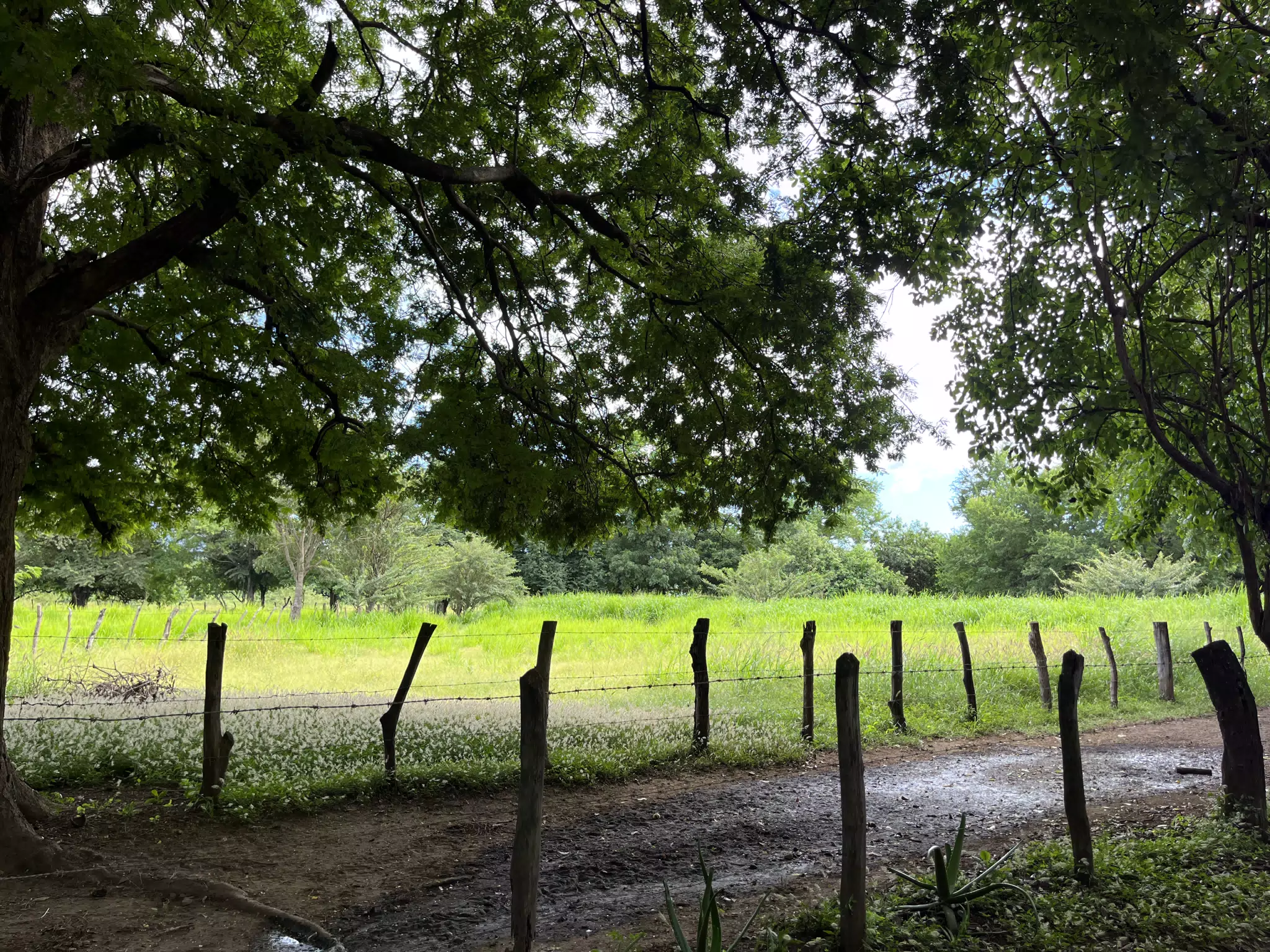 Finca in La Paz Centro, Nicaragua