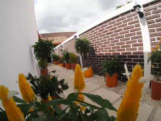 01204475