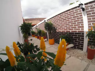 01204474