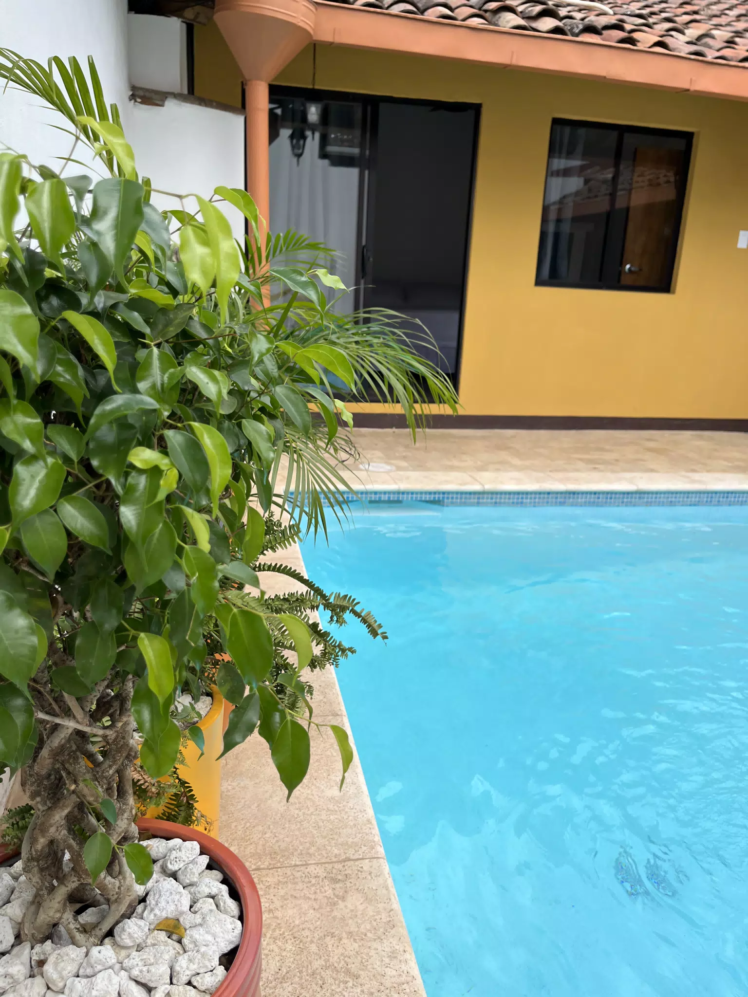 Casa Mango | El Centro León Nicaragua