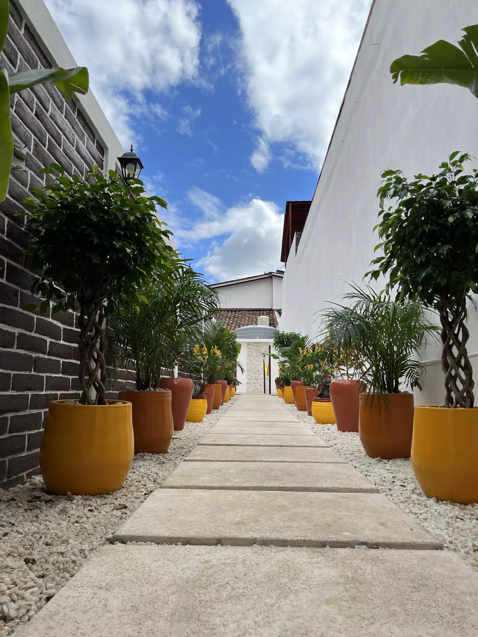 Casa Mango | El Centro León Nicaragua