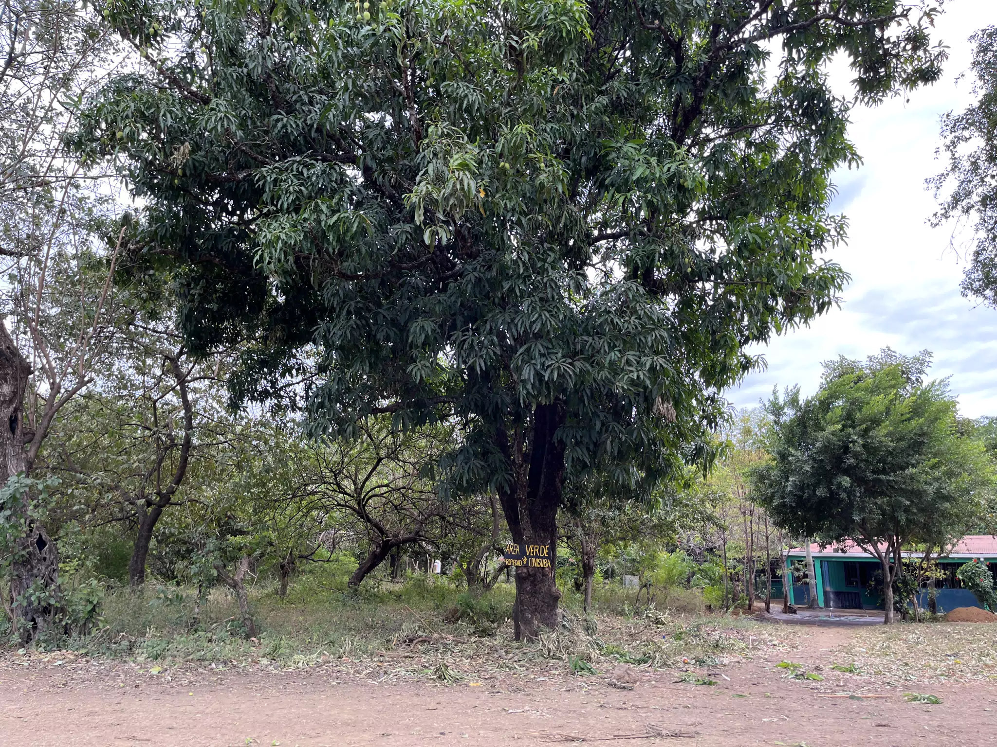 Area Verde, Sutiava, Nicaragua