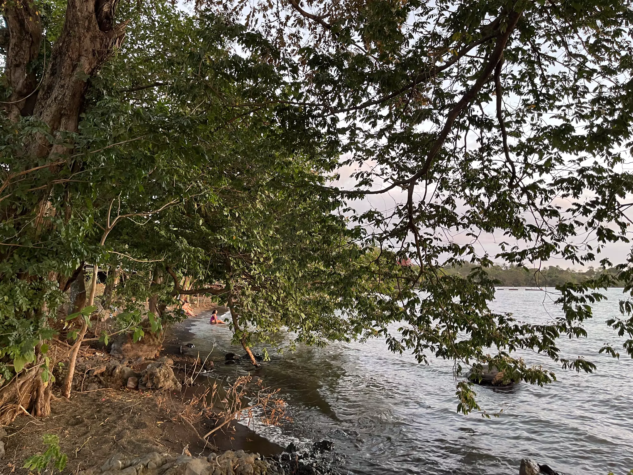 Lake Ometepe Shoreline Beach in Nicaragua