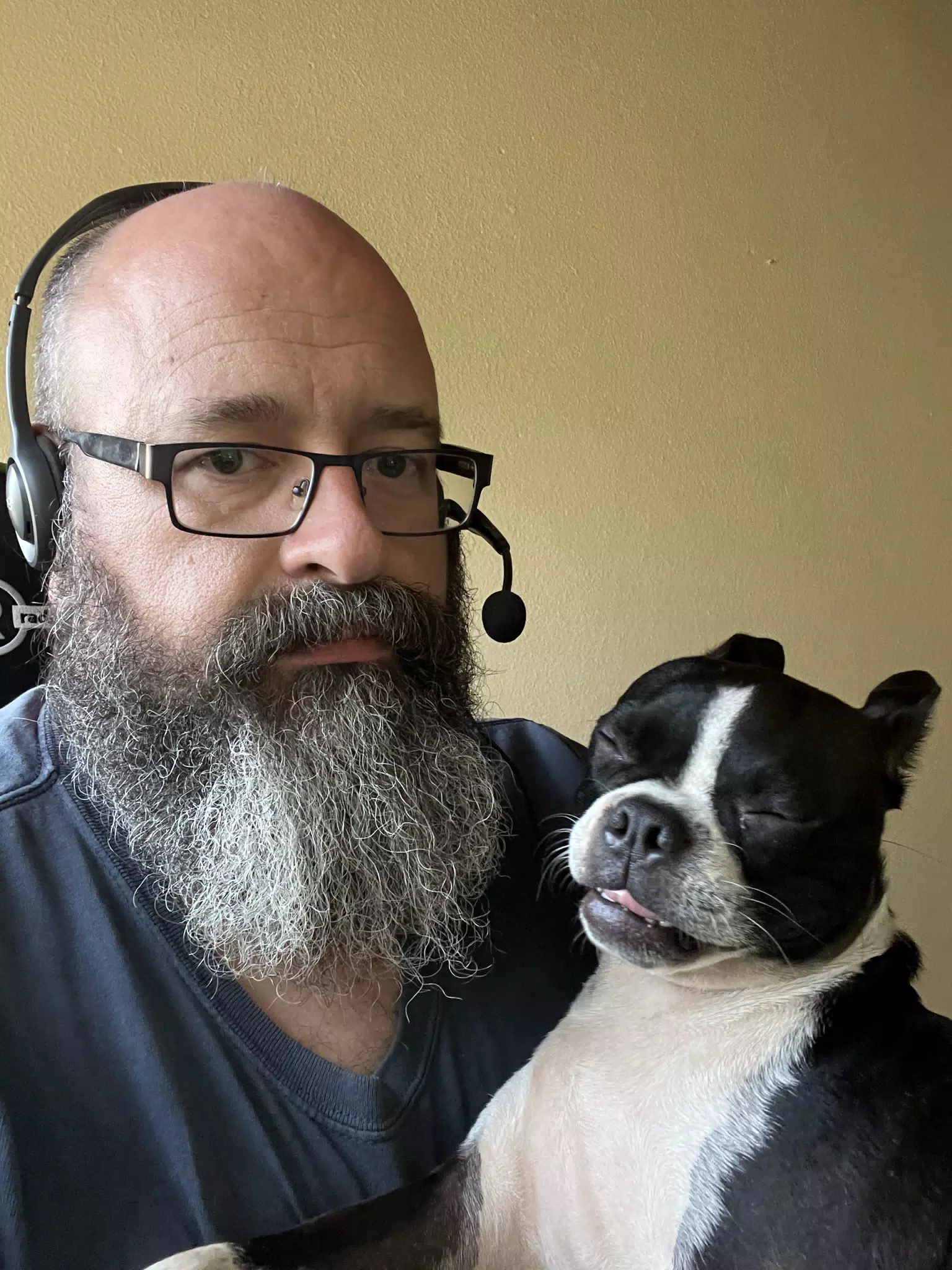 Scott with Clive the Boston Terrier in the Office