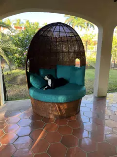 Mia on the Garden Chair