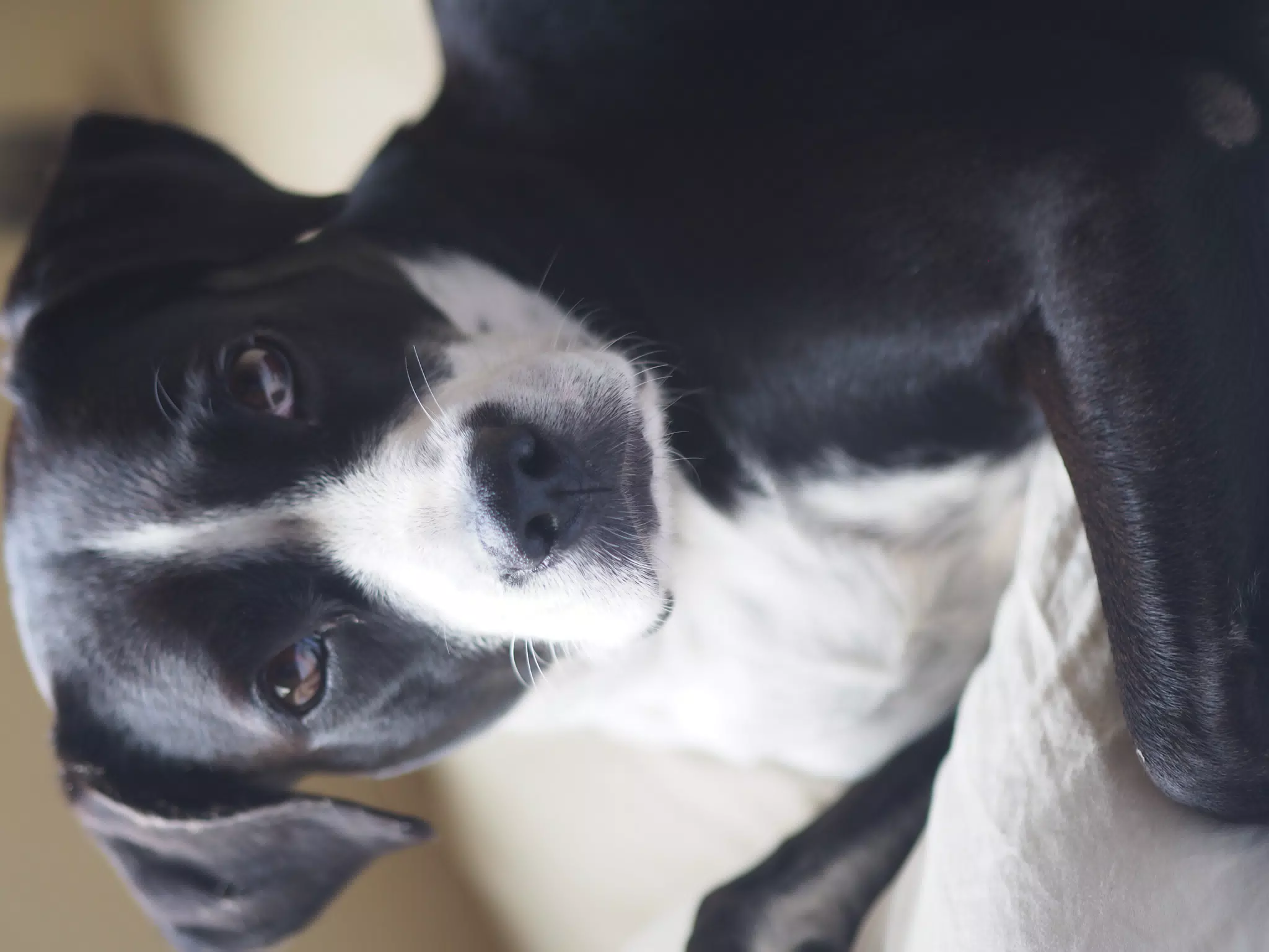 Mia Lounging