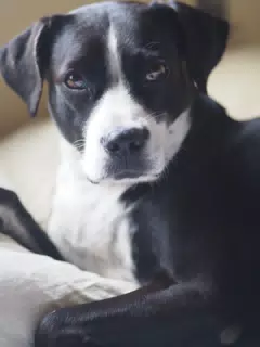Mia Lounging