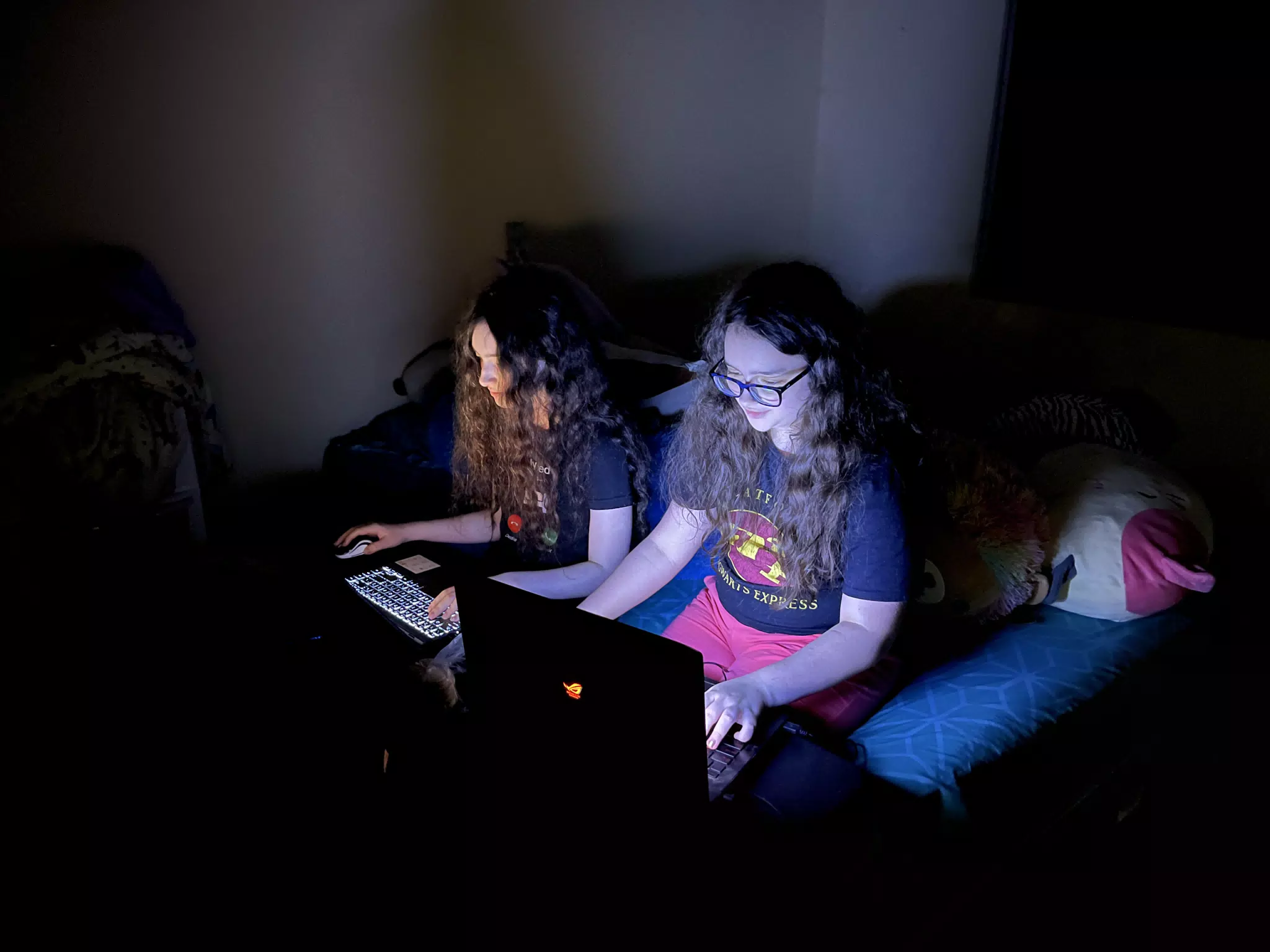 Liesl & Luciana Playing Minecraft Together