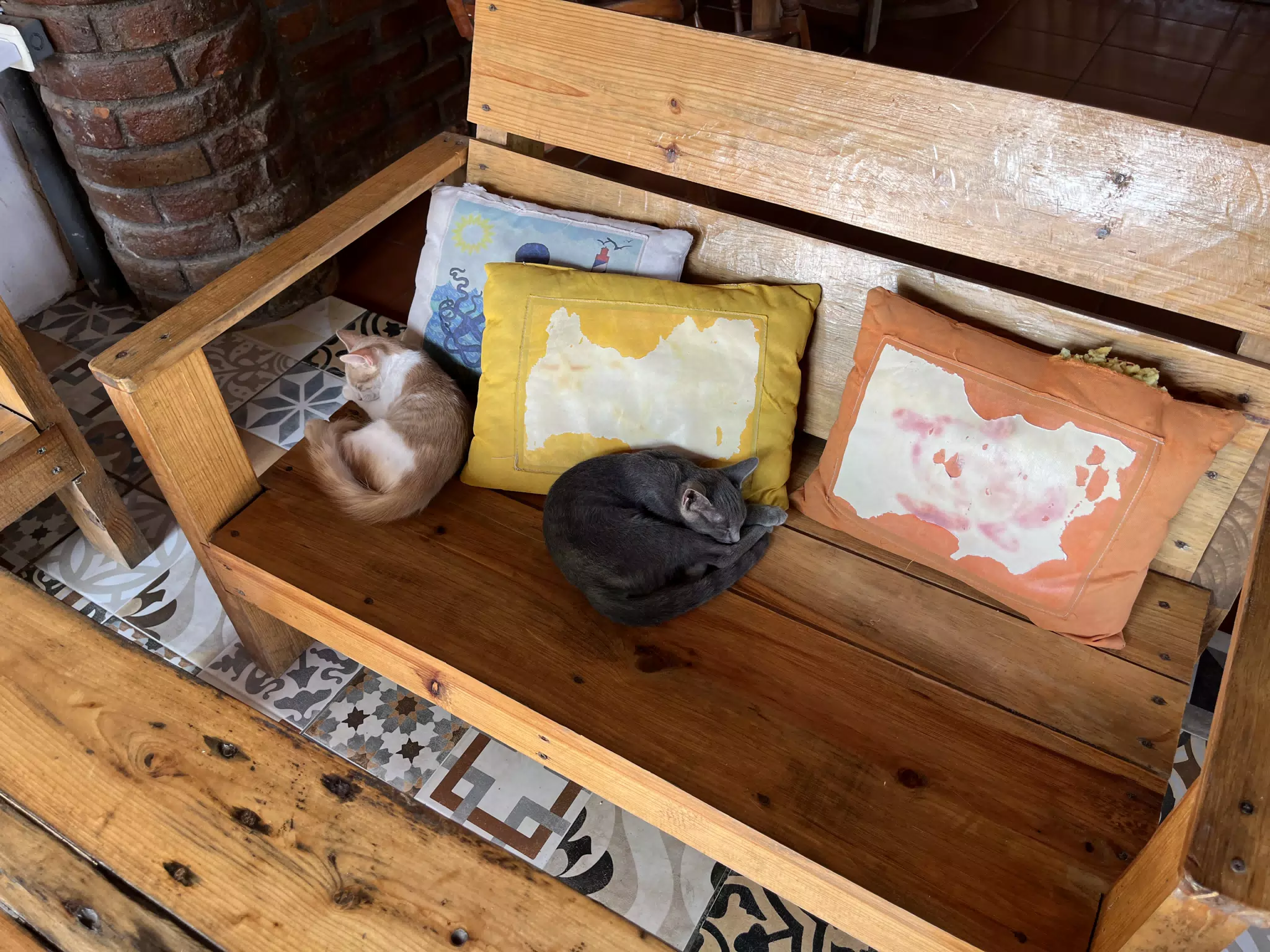 Kittens of the Simple Beach Lodge