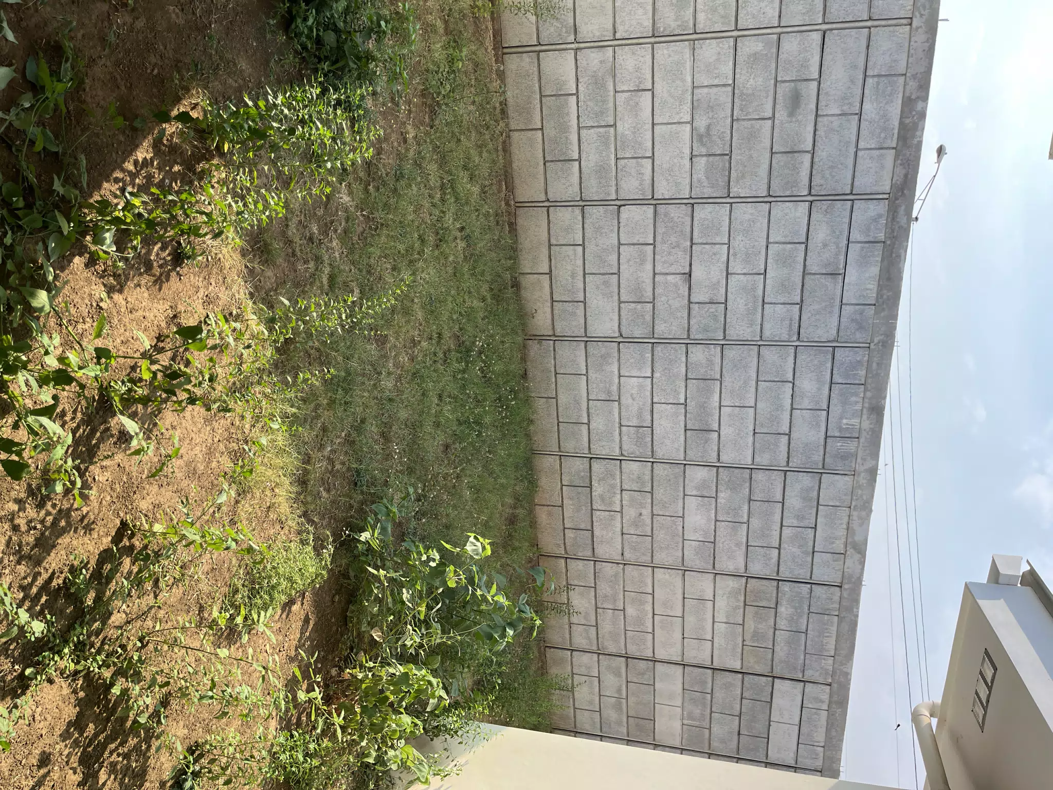 32 San Augustin - Back Yard