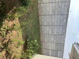 32 San Augustin - Back Yard