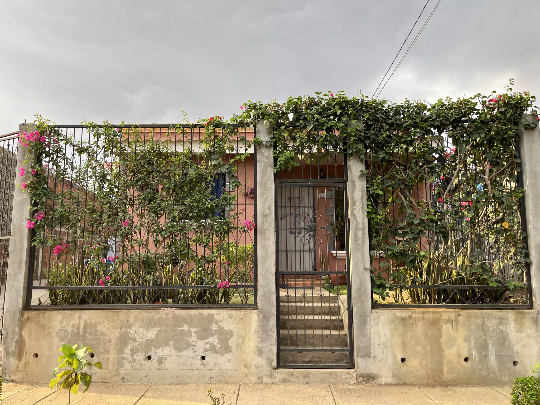 Green Fence in CasteLeon, Leon, Nicaragua