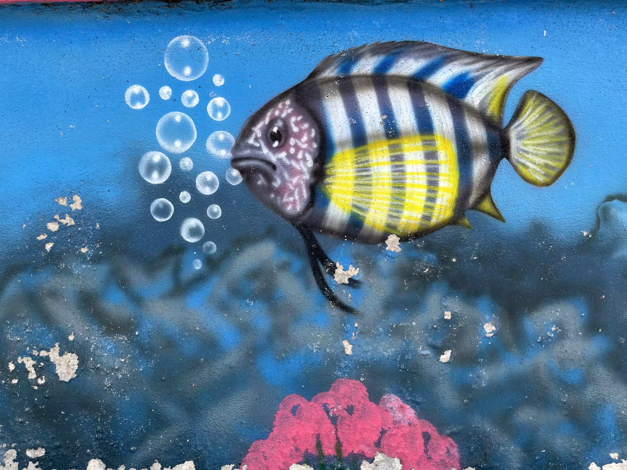 Fish Mural on the Seawall in Poneloya Nicaragua